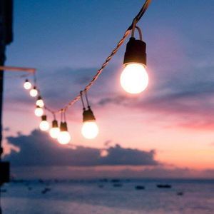 Meet your Posher, Gracie